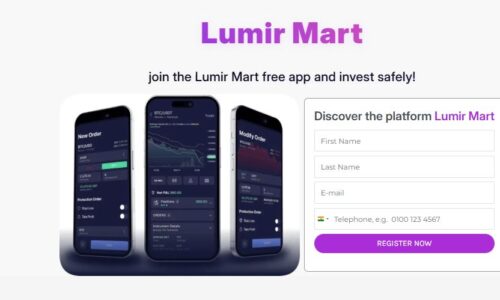 Lumir Mart Review – Top Strategies To Maximize Profits On Lumir Mart!
